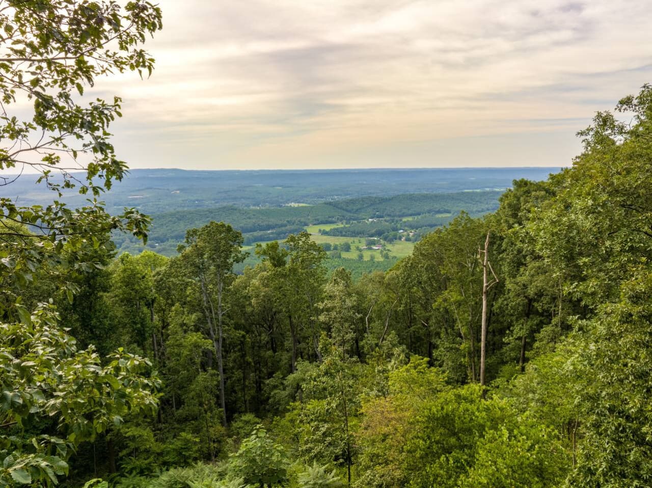 VIEWS from the back porch of Paradise Found!