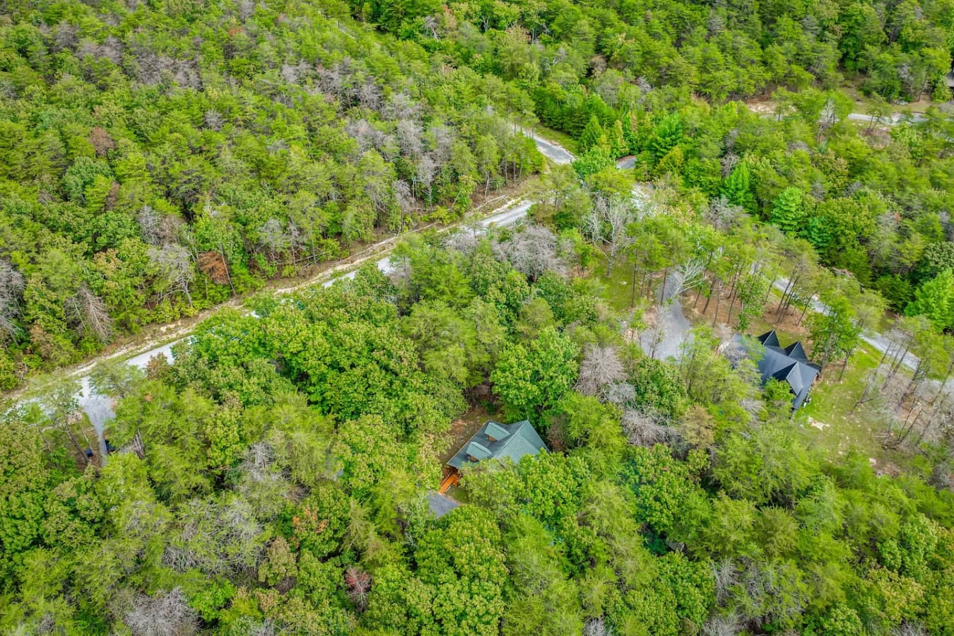 Tucked away in the trees — your private escape in nature.