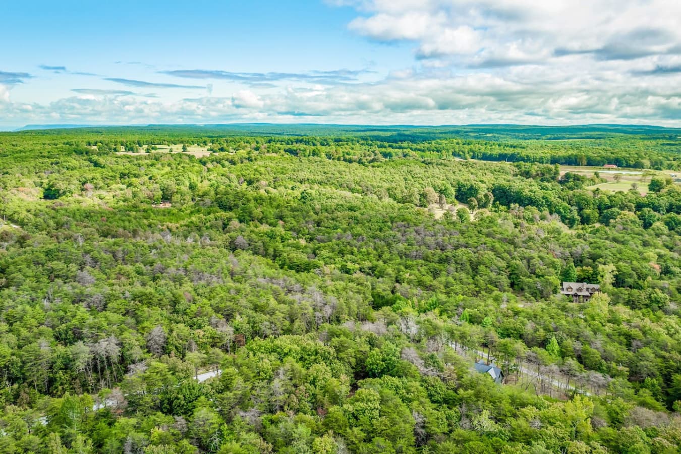 Nestled among the whispering trees — your woodland getaway awaits.