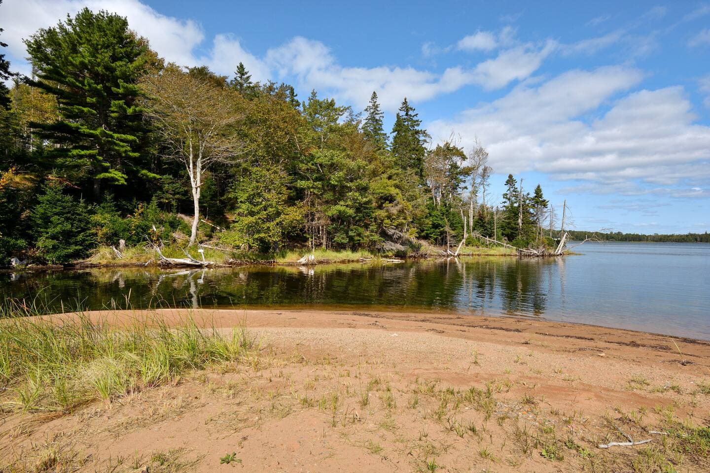 Redbird Lakehouse beach