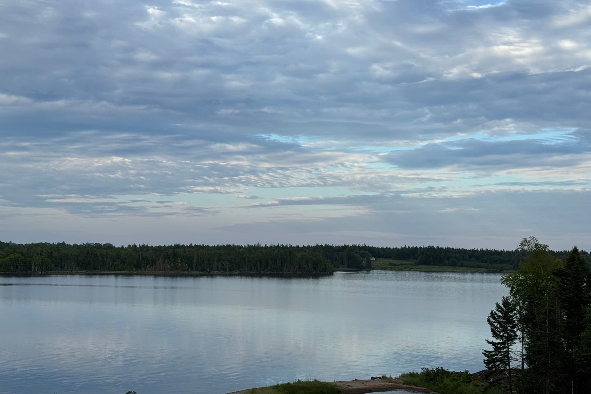 Summer backyard view of the lake