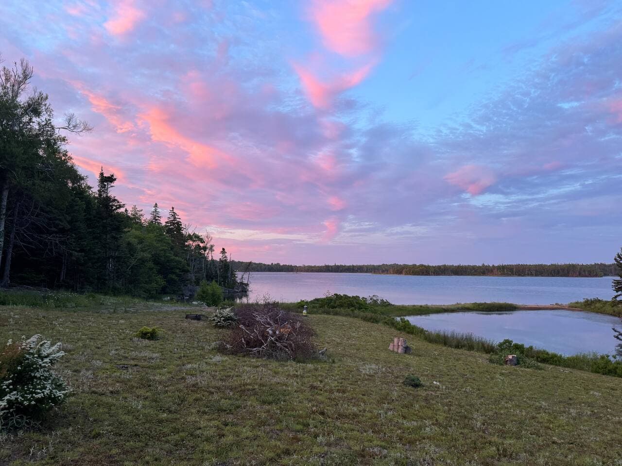 Sunset backyard