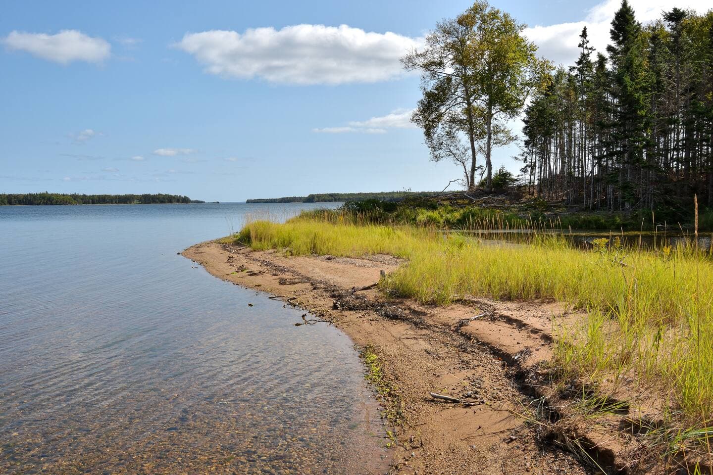 Redbird Lakehouse beach