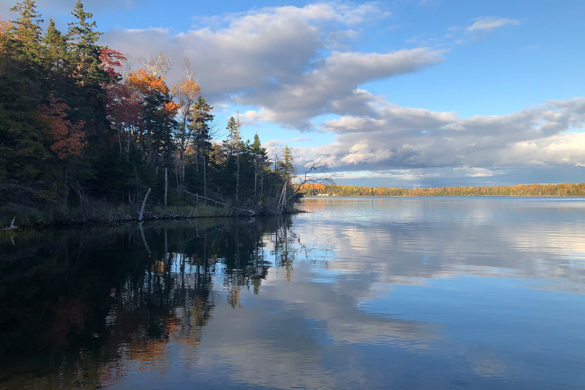 Fall Redbird Lakehouse