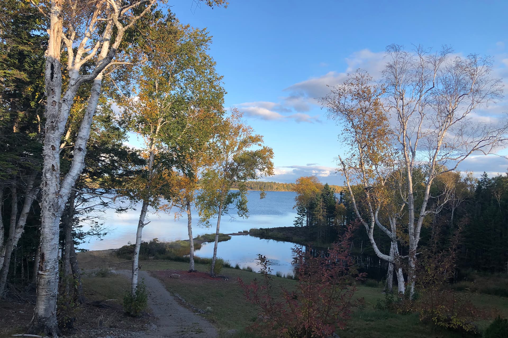 Fall driveway down to the pond and lake