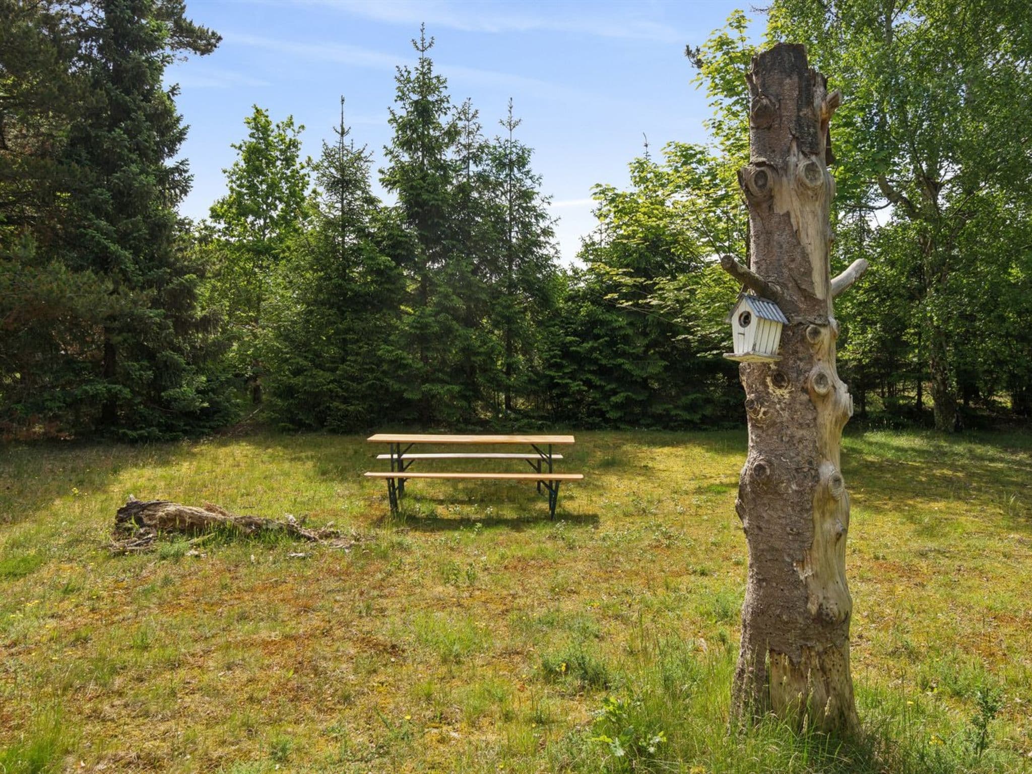 Place