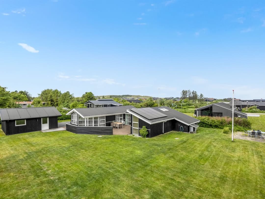 Large Image