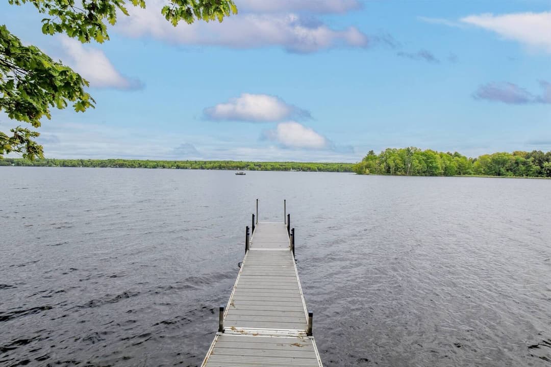 Large Image