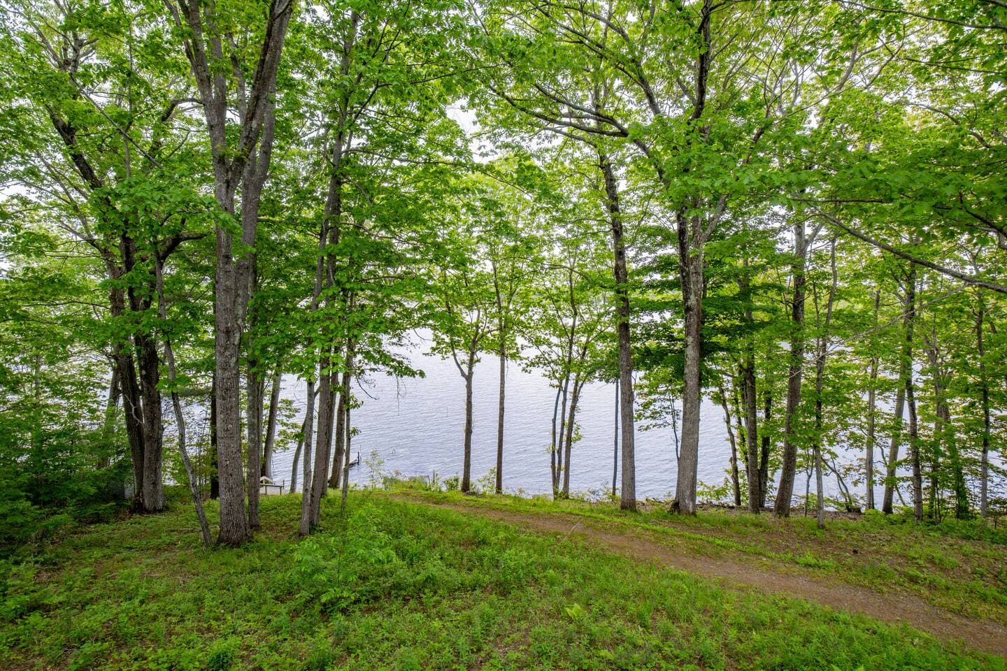 Gallery Image 53