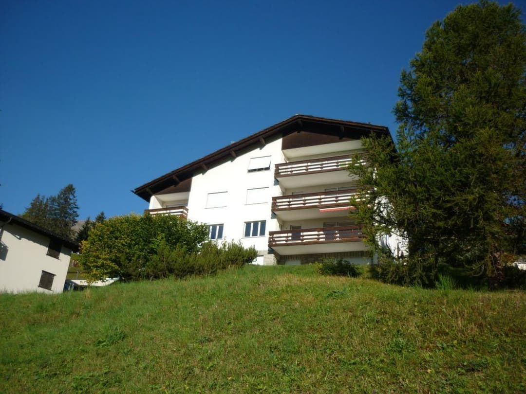 Large Image