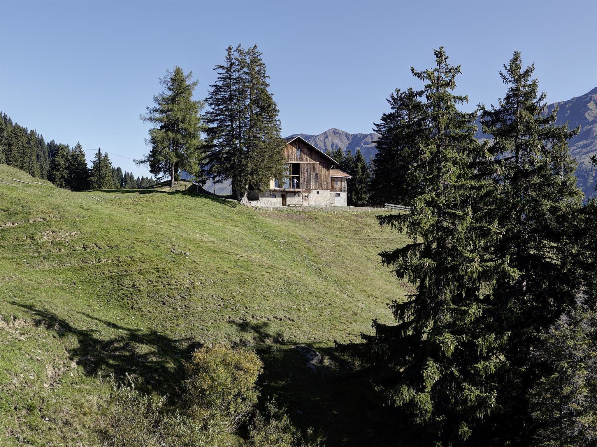Gallery Image 6