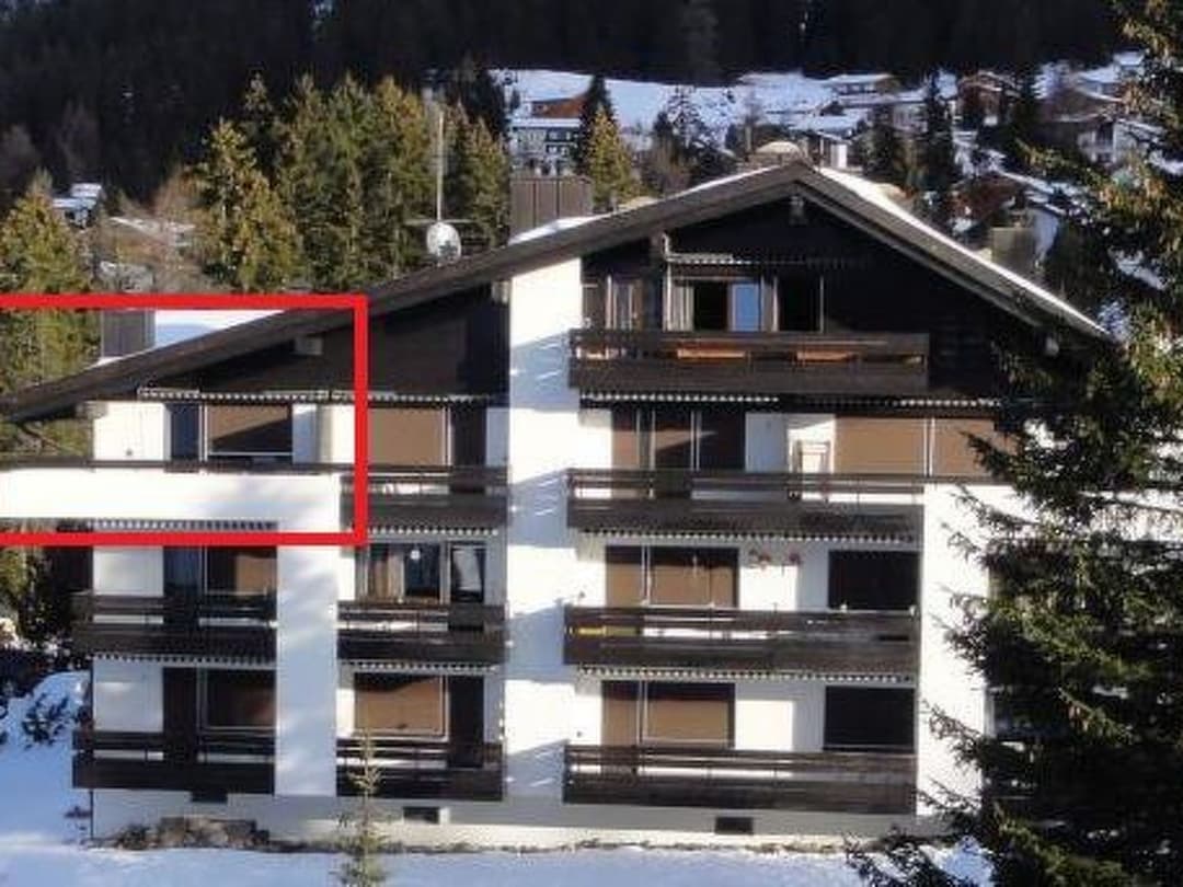 Large Image