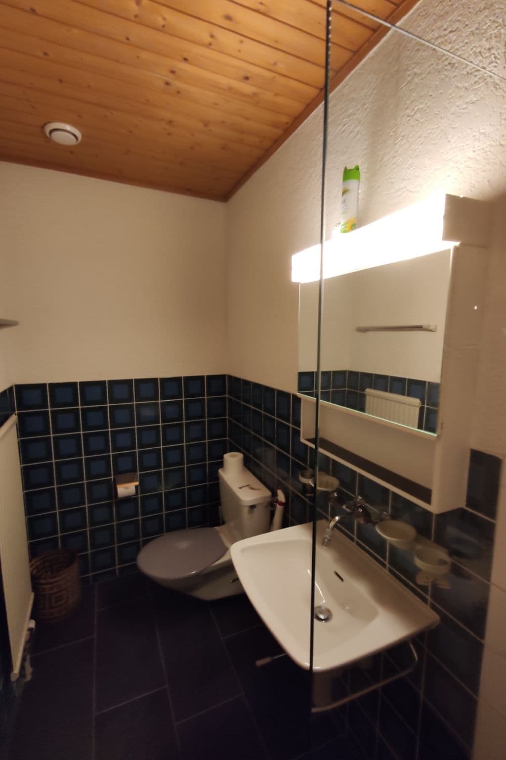 Gallery Image 12