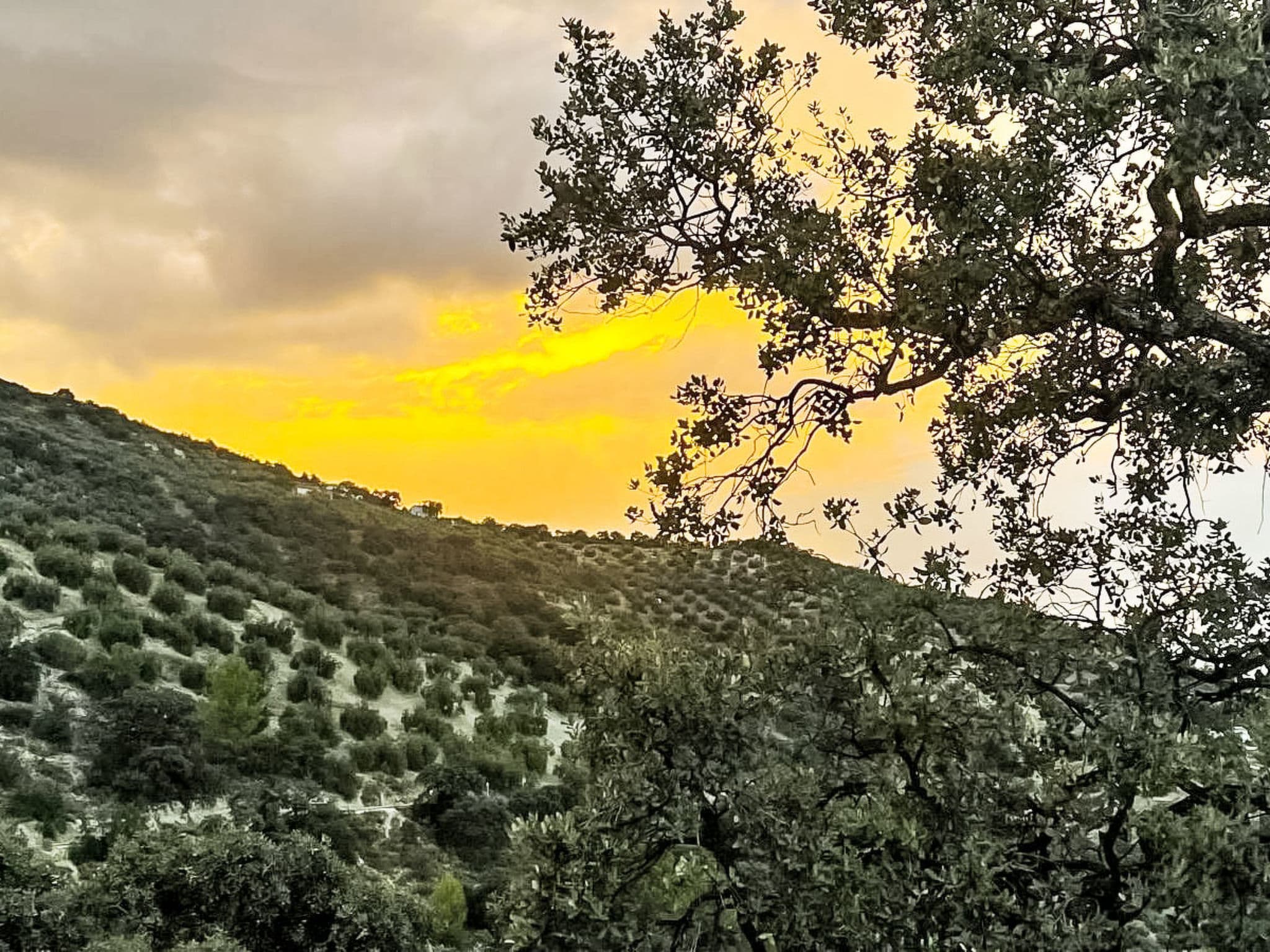 View