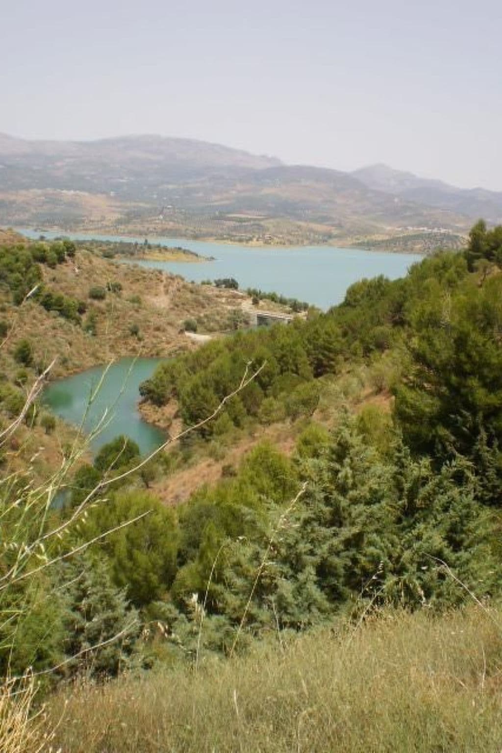 View