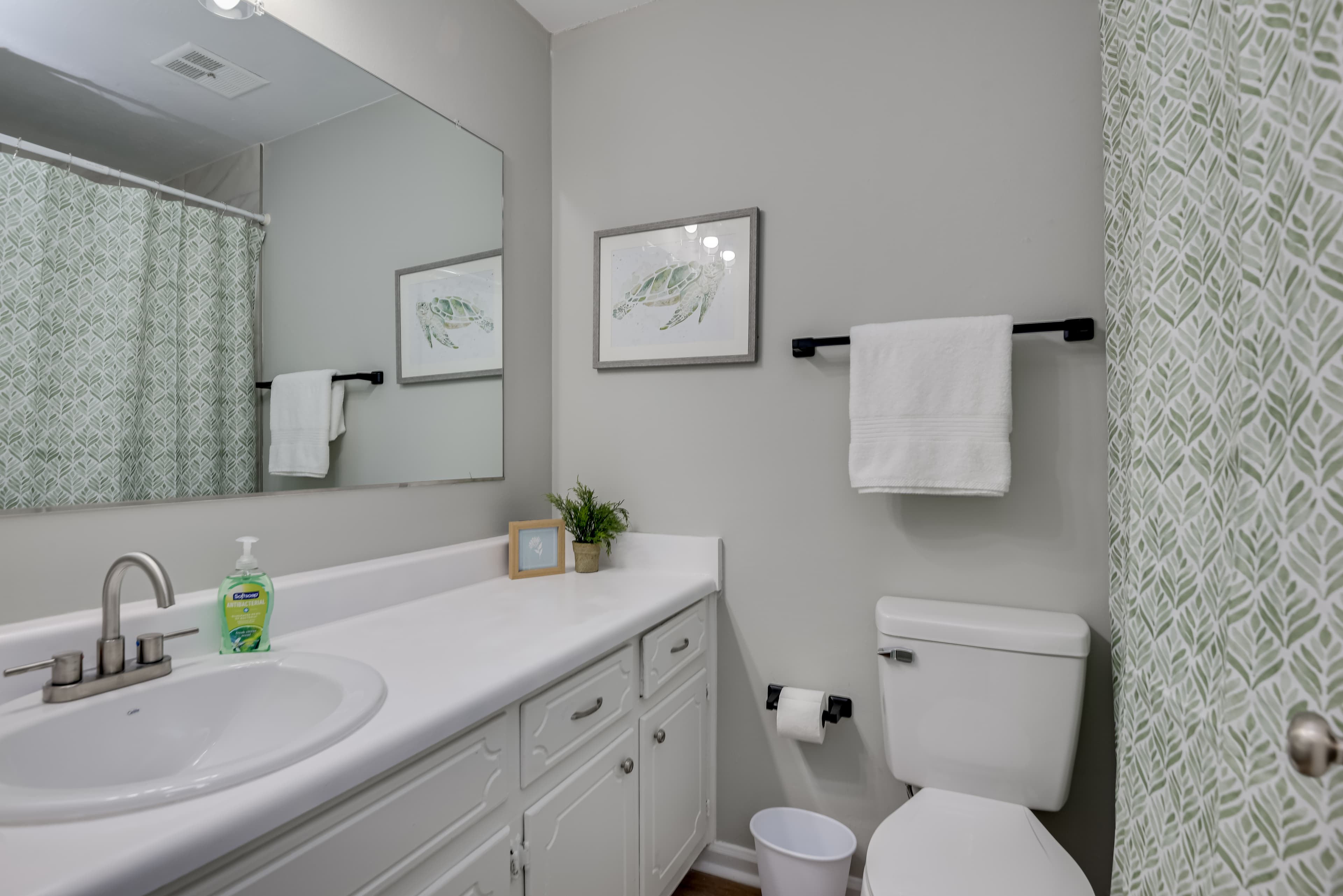 Hall Bathroom