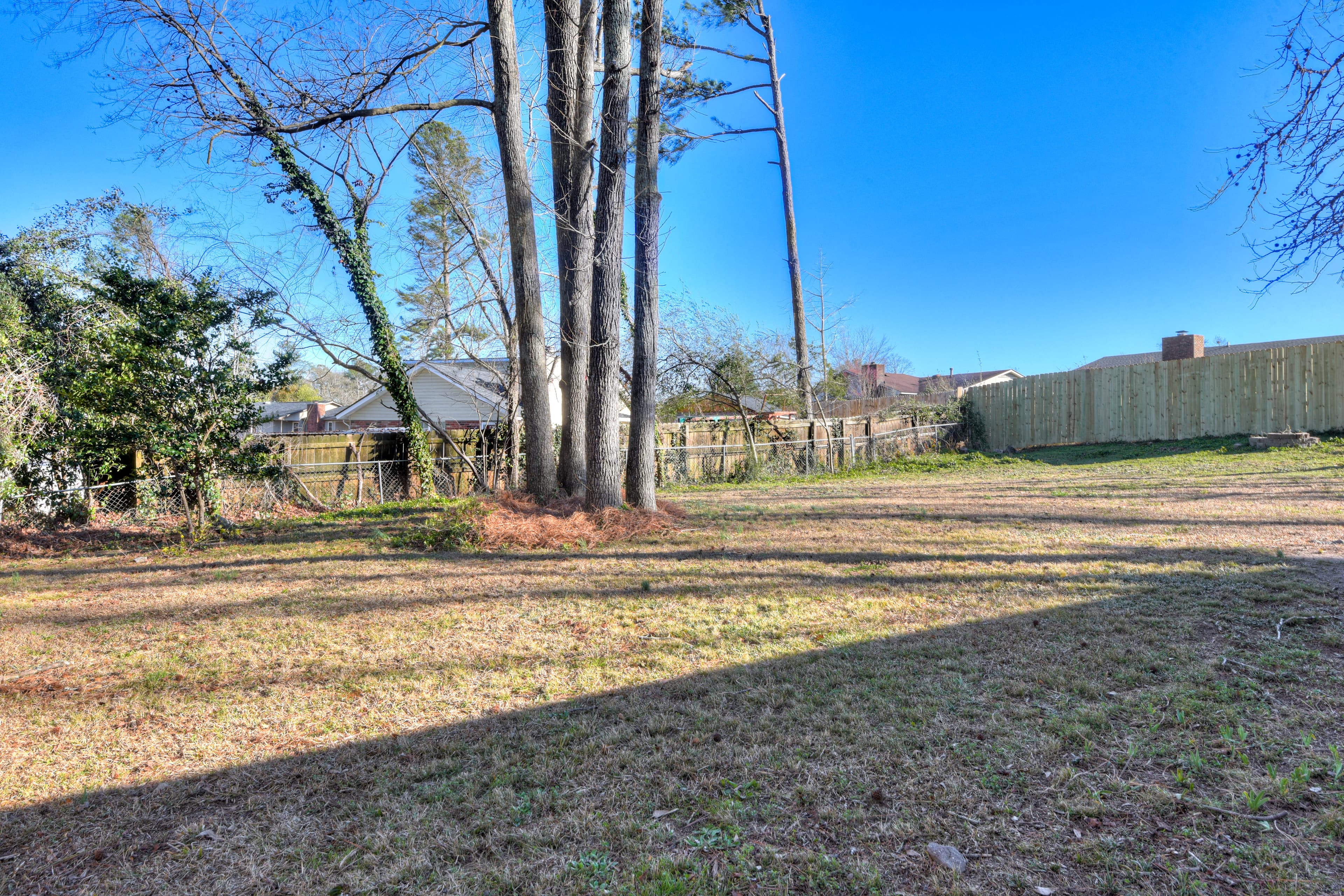 Spacious, Fenced Backyard