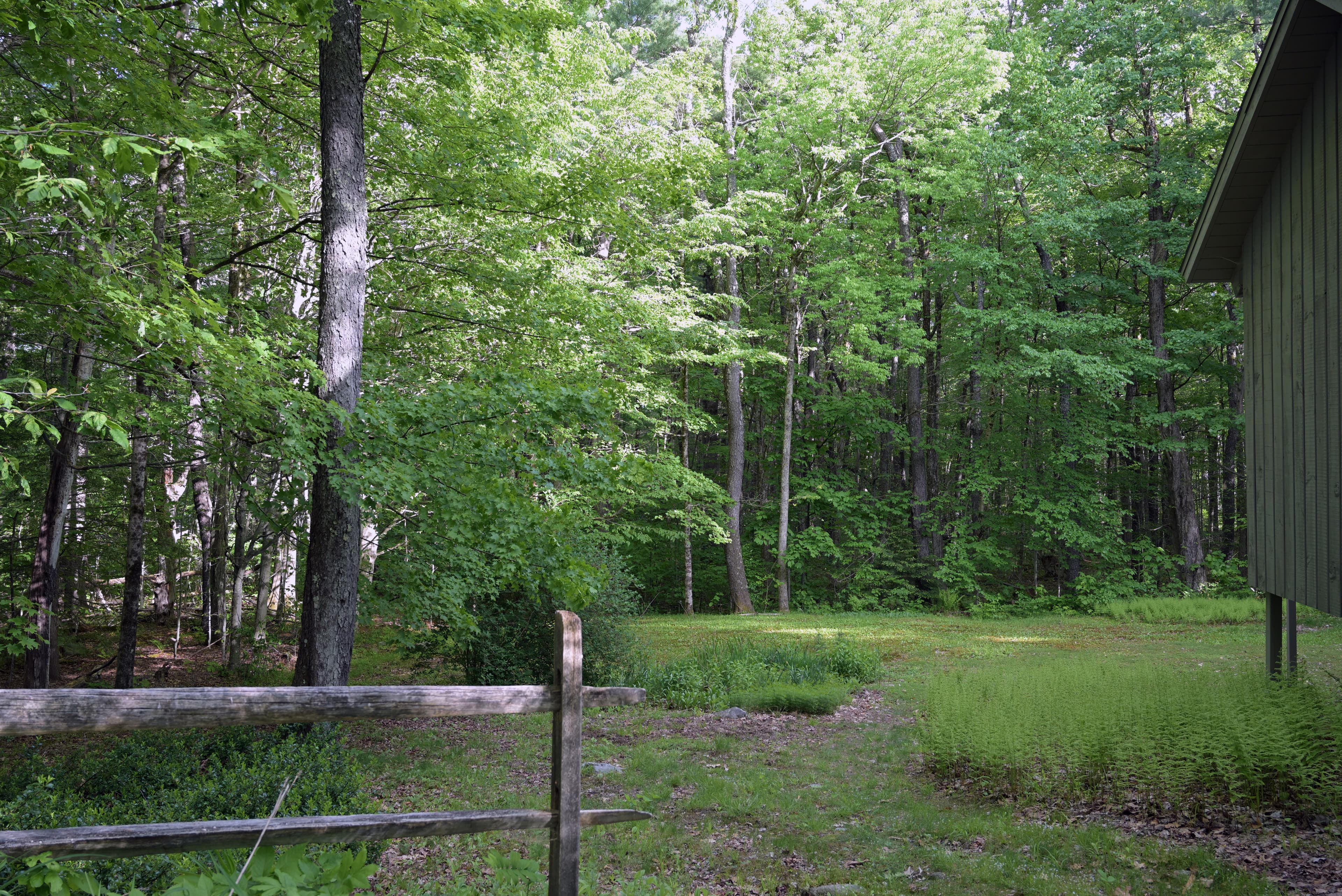 Gallery Image 76
