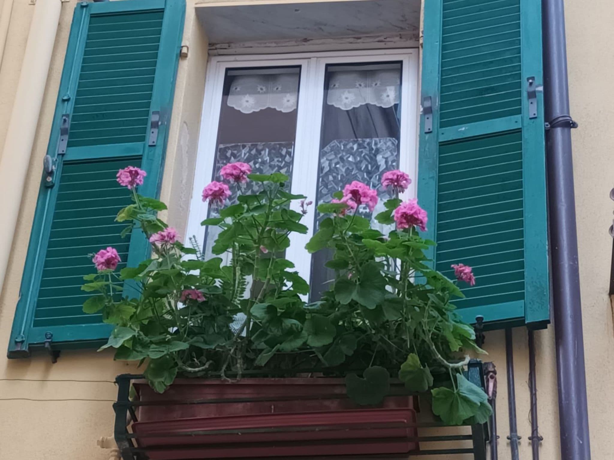 Gallery Image 12