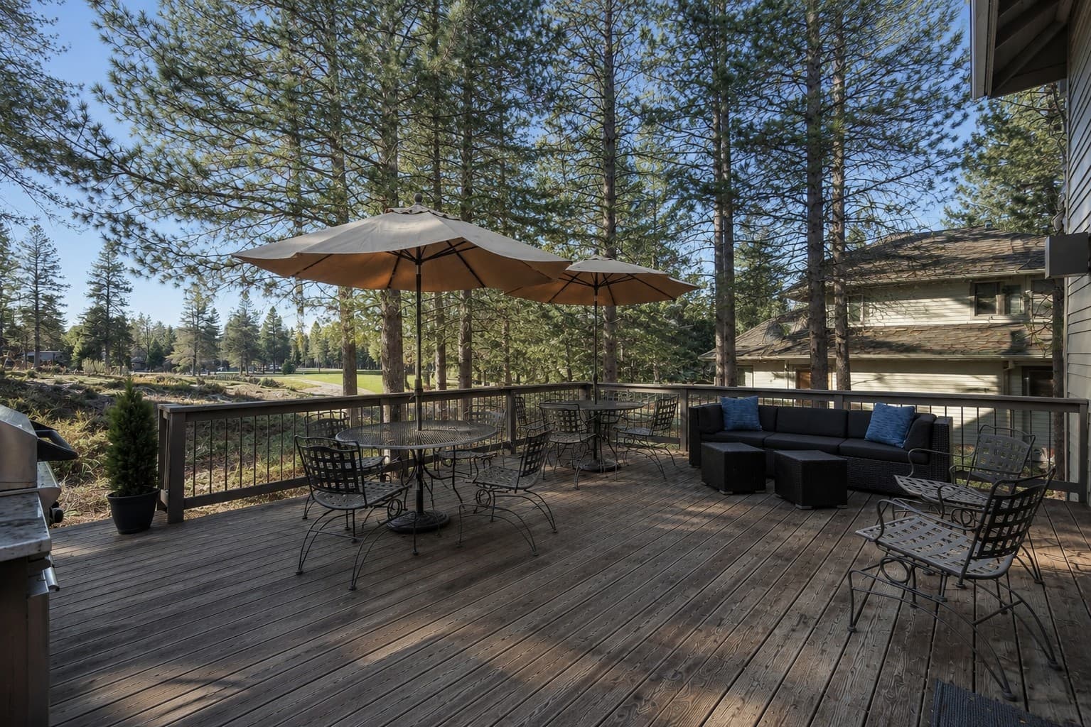 Back Deck Tan Oak