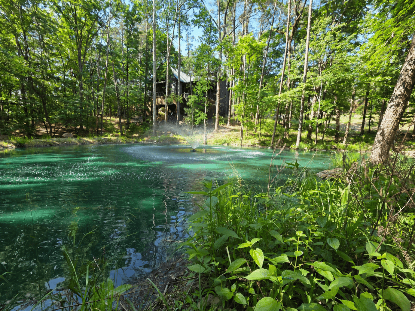 Koi Pond and the Back of the Cabin