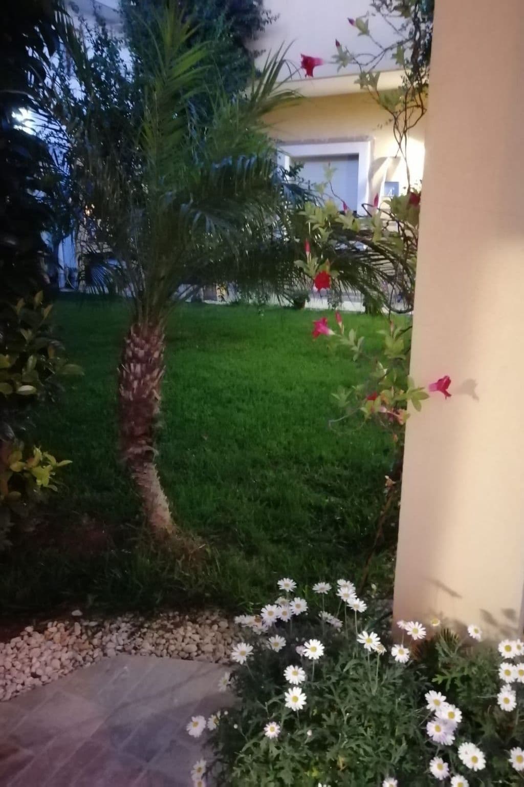 Gallery Image 29