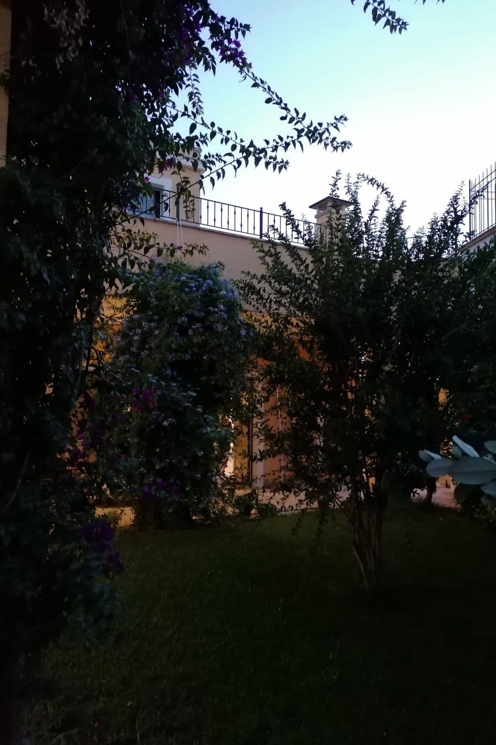 Gallery Image 35