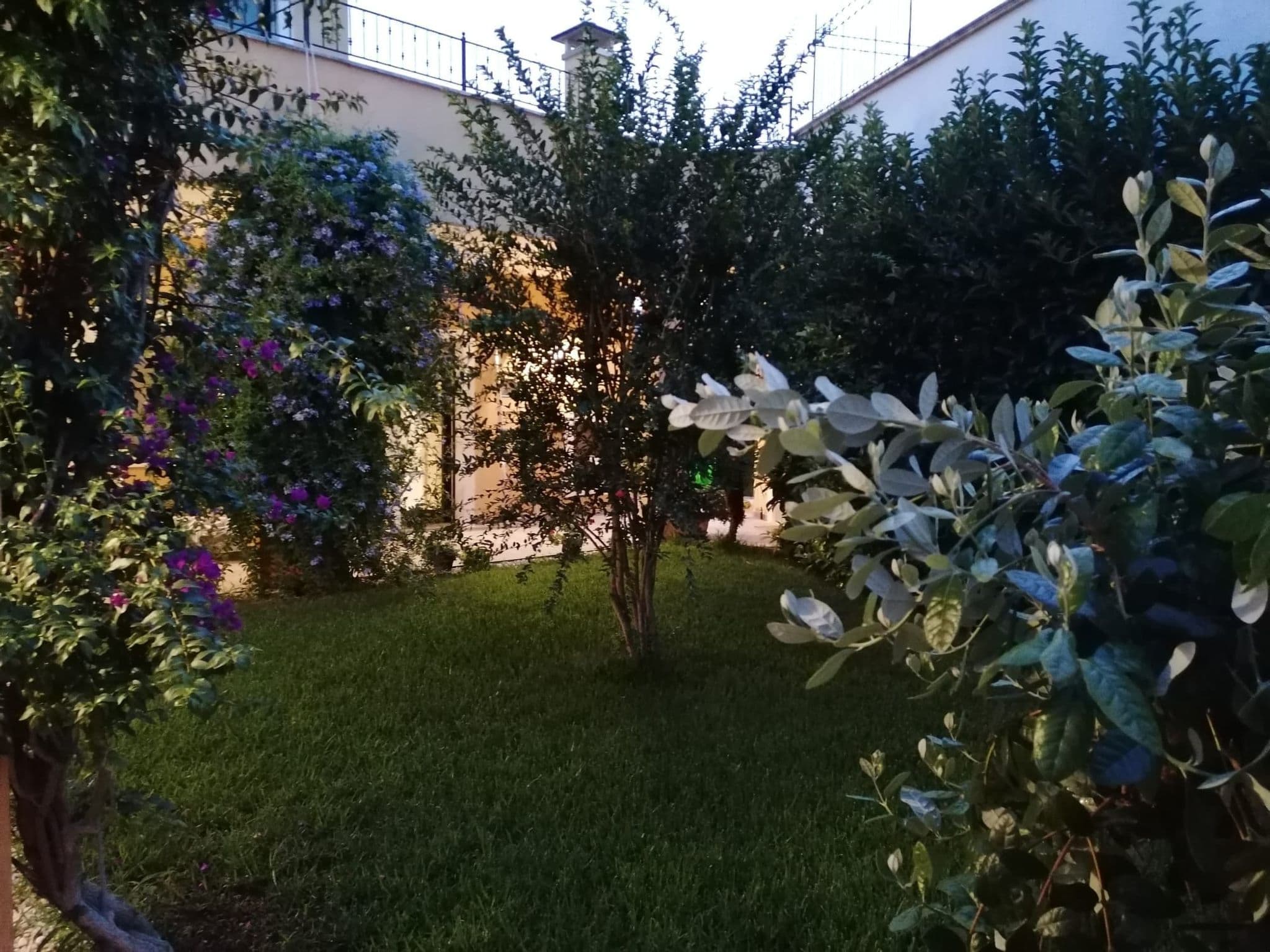 Gallery Image 36