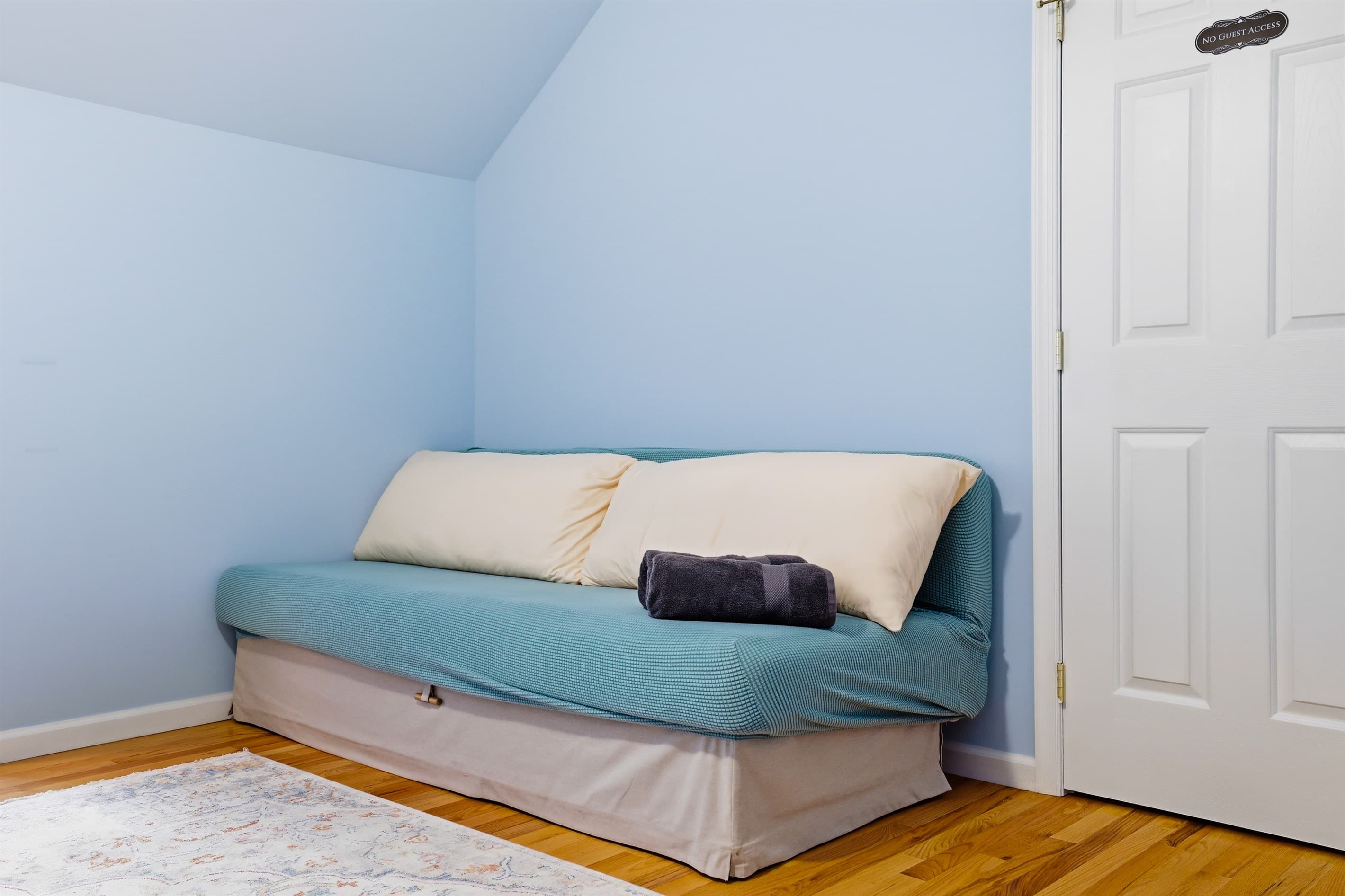 Bedroom with futon, TV and workspace