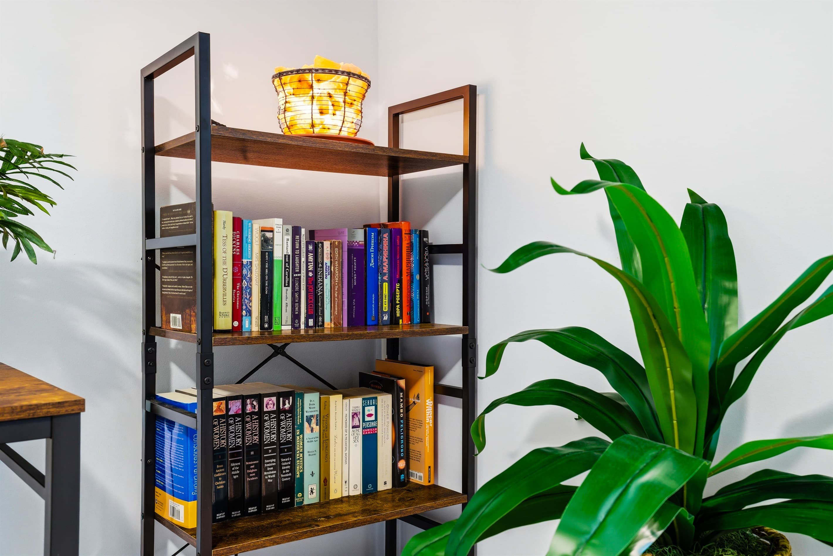 Books in bedroom 3