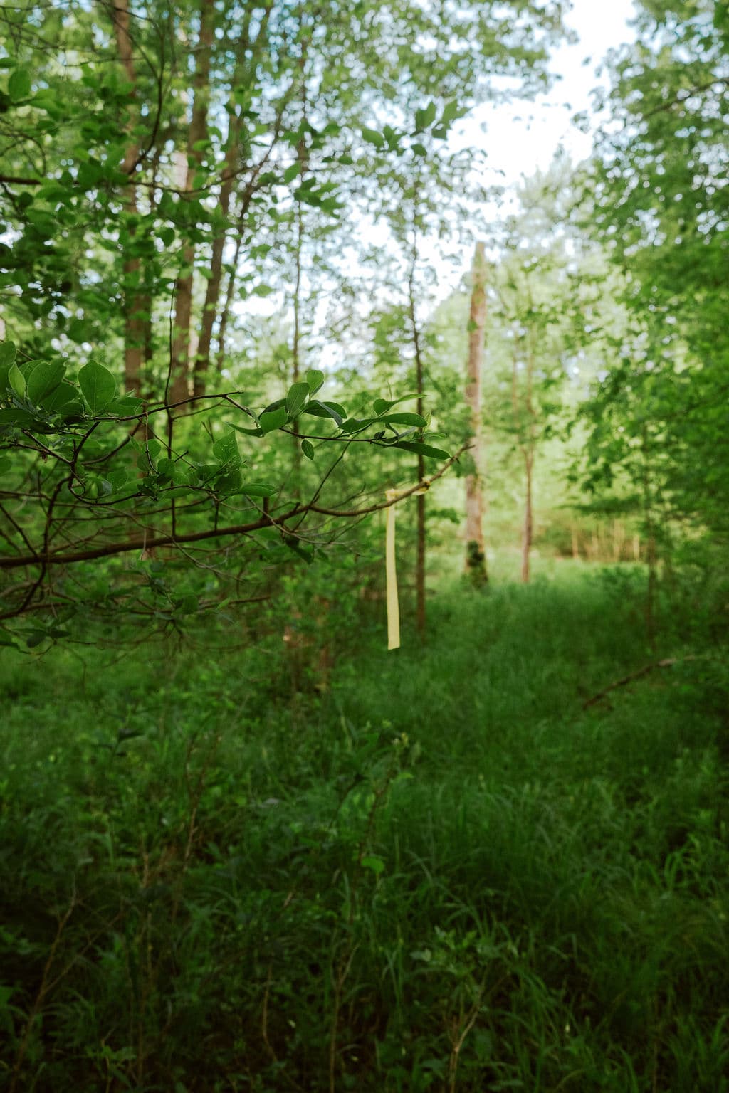 Follow the trail markers