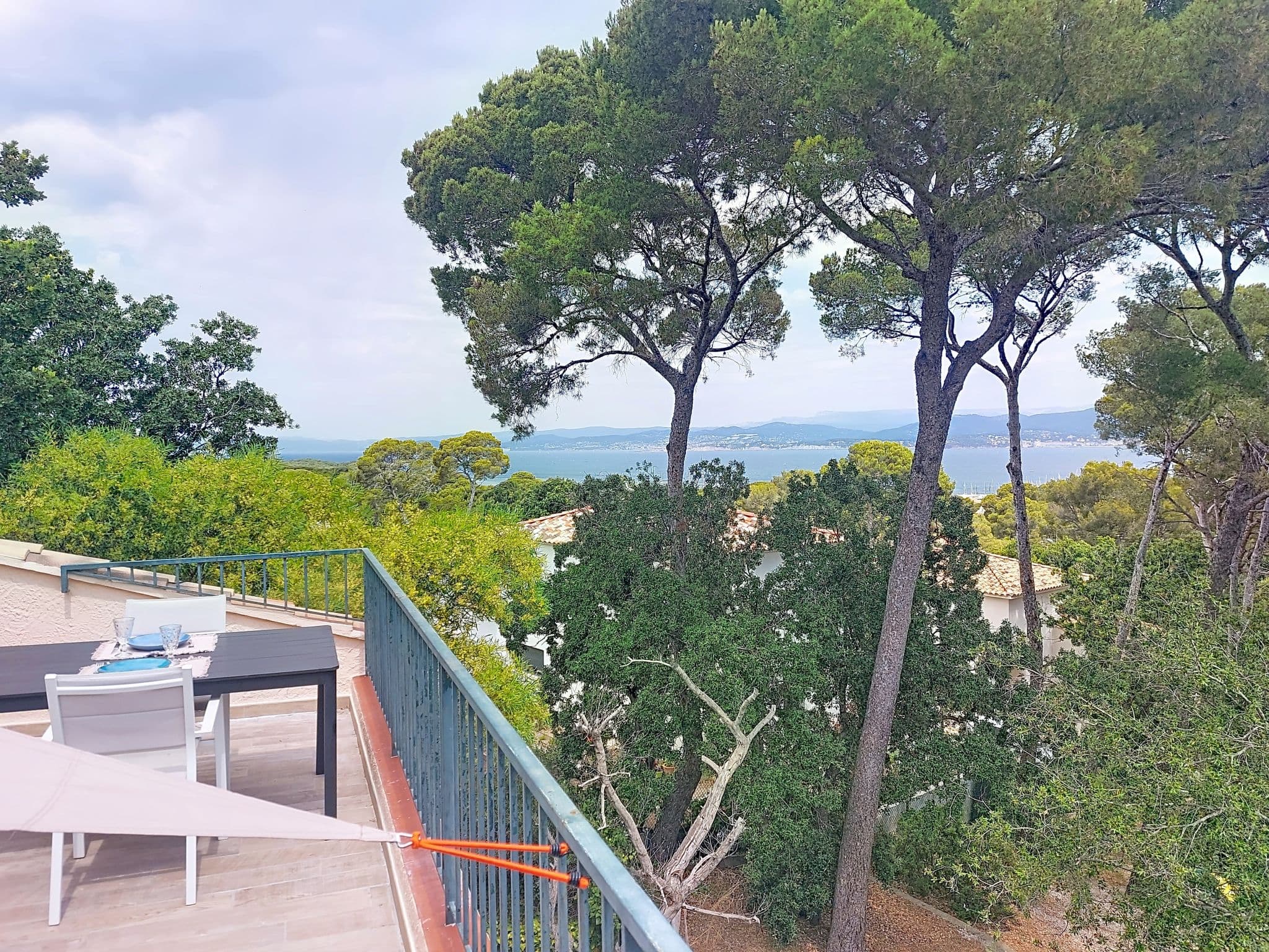 View