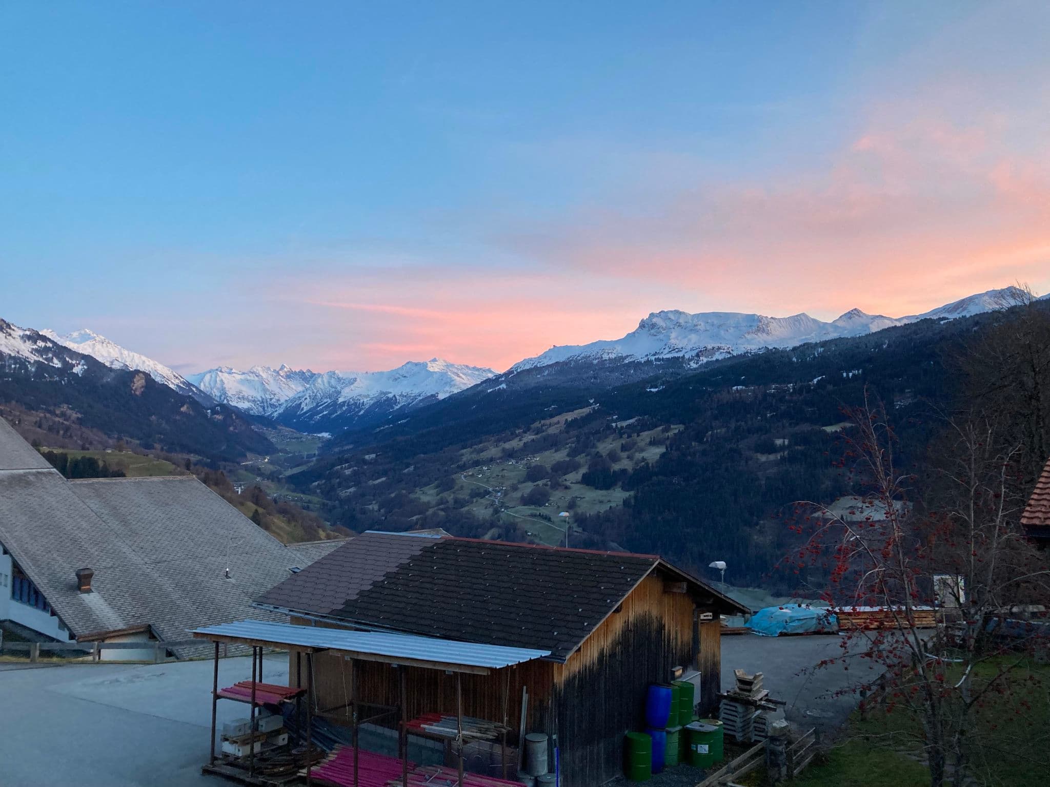 View