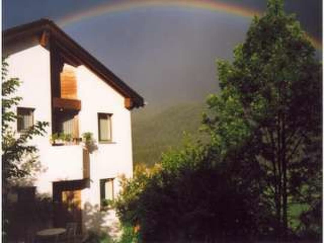 Large Image