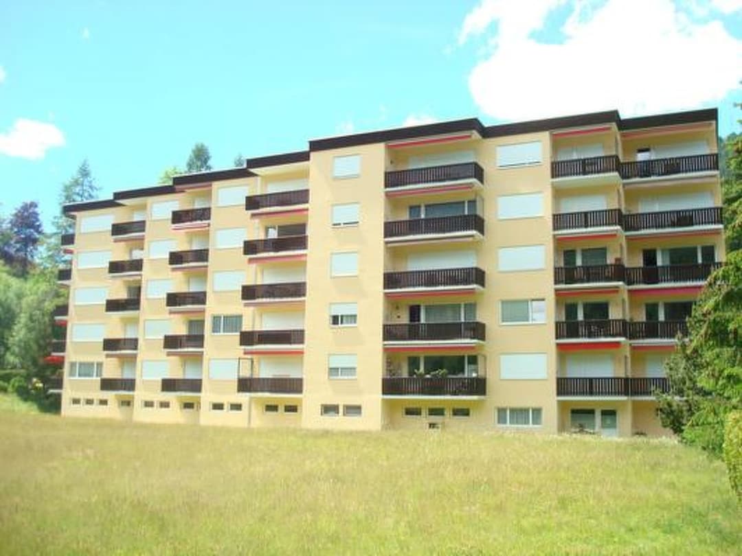 Large Image