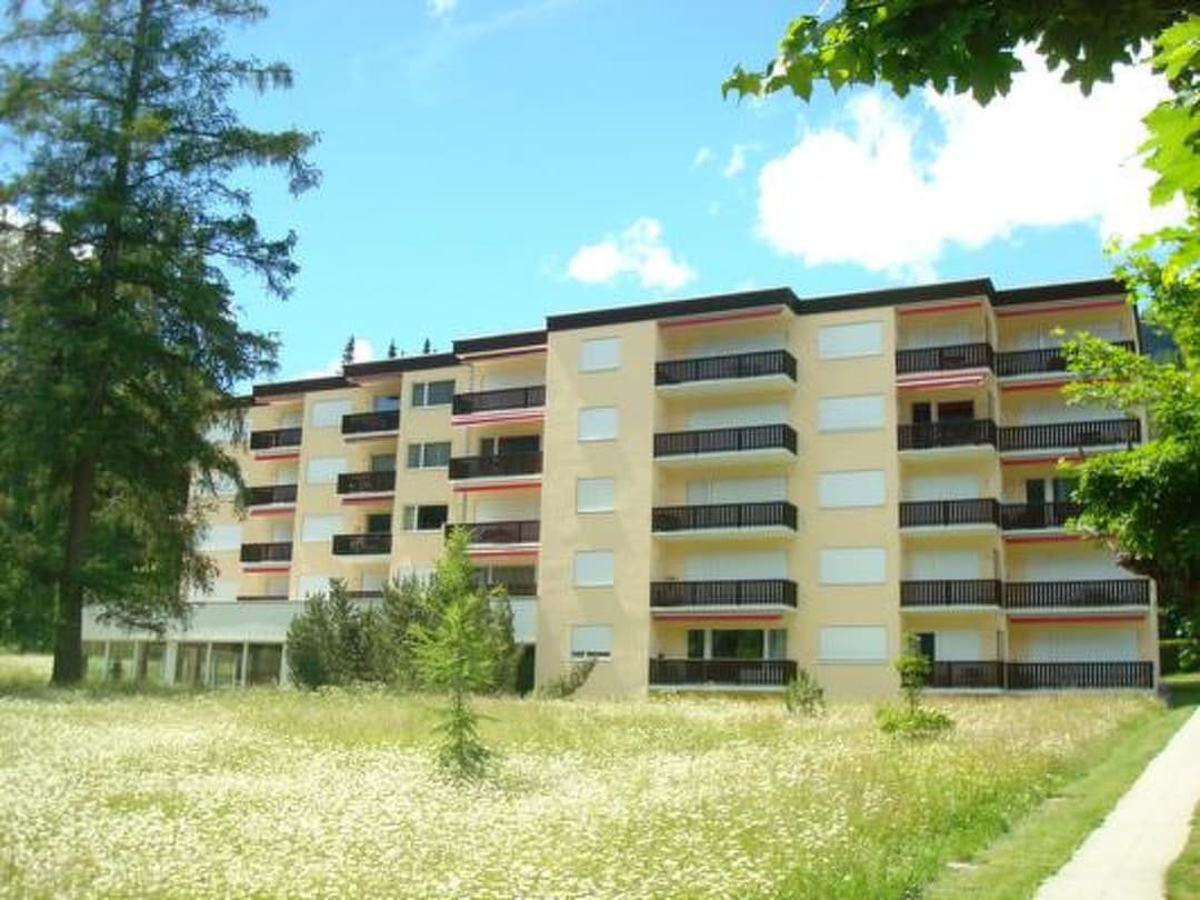 Large Image