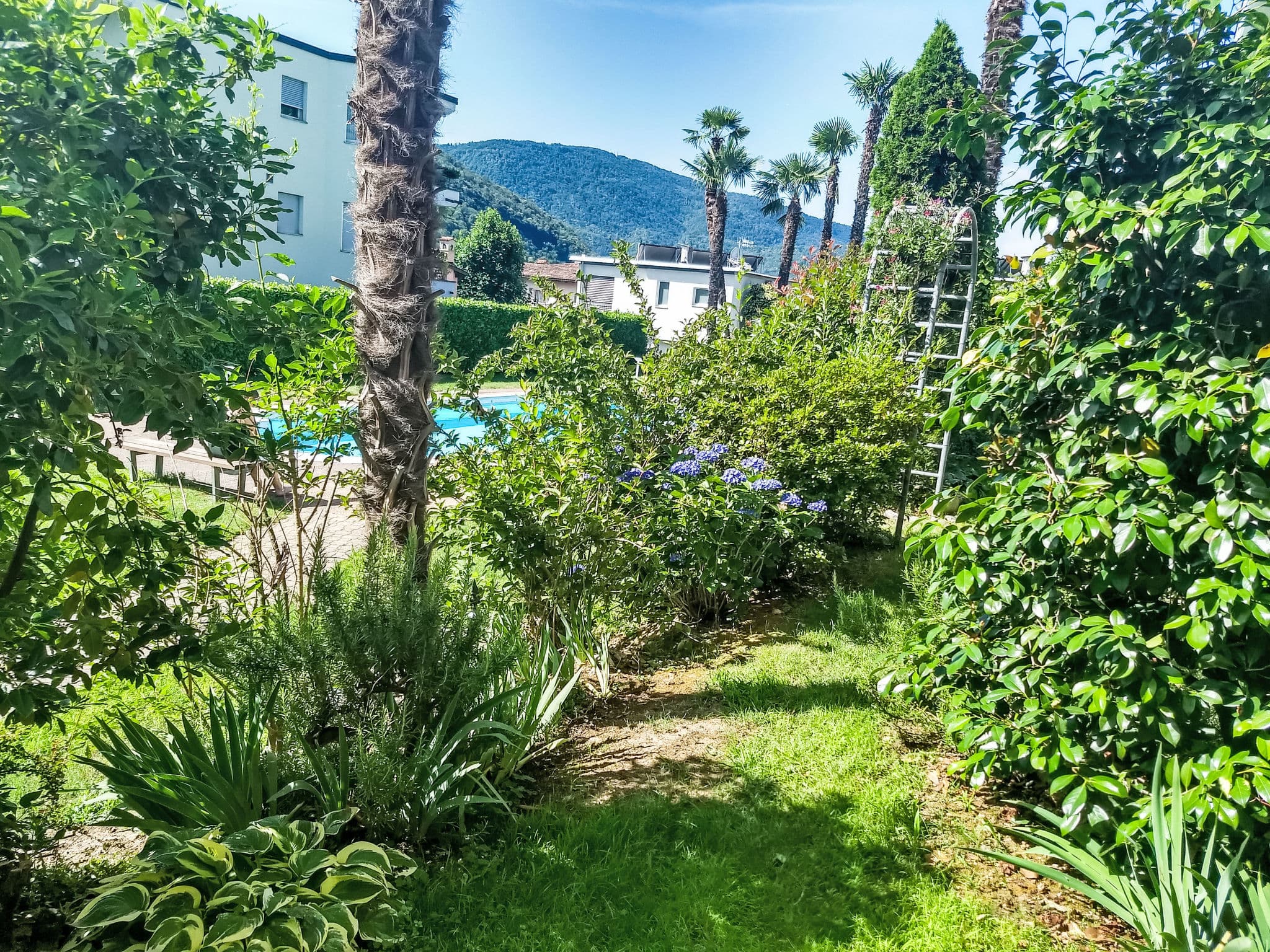 Pool Outdoor