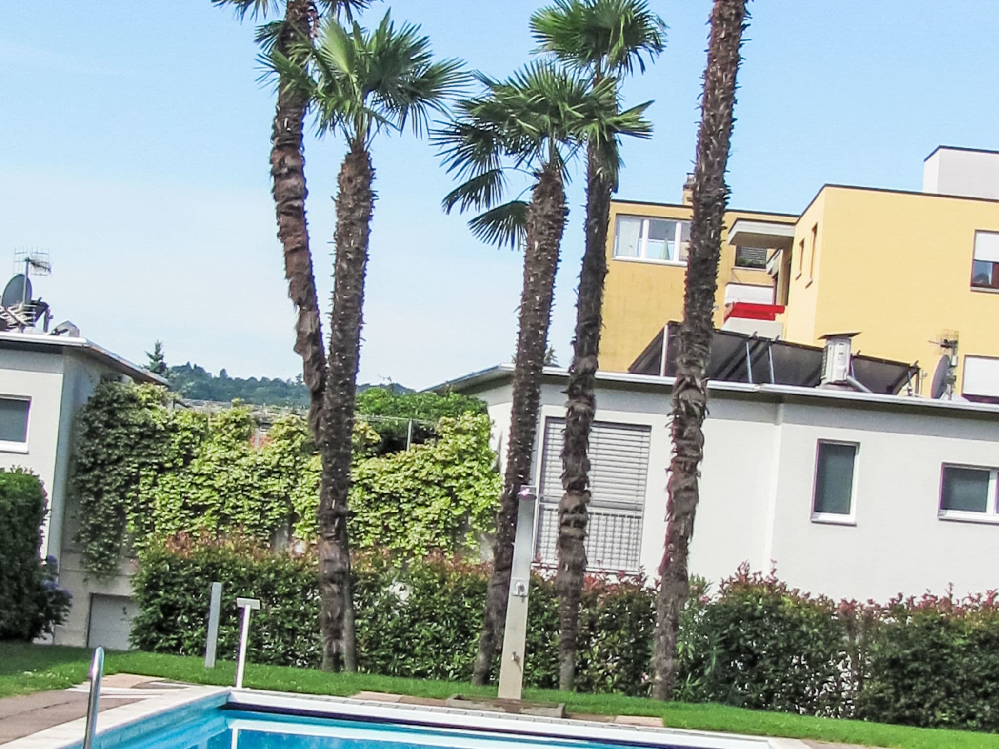 Pool Outdoor