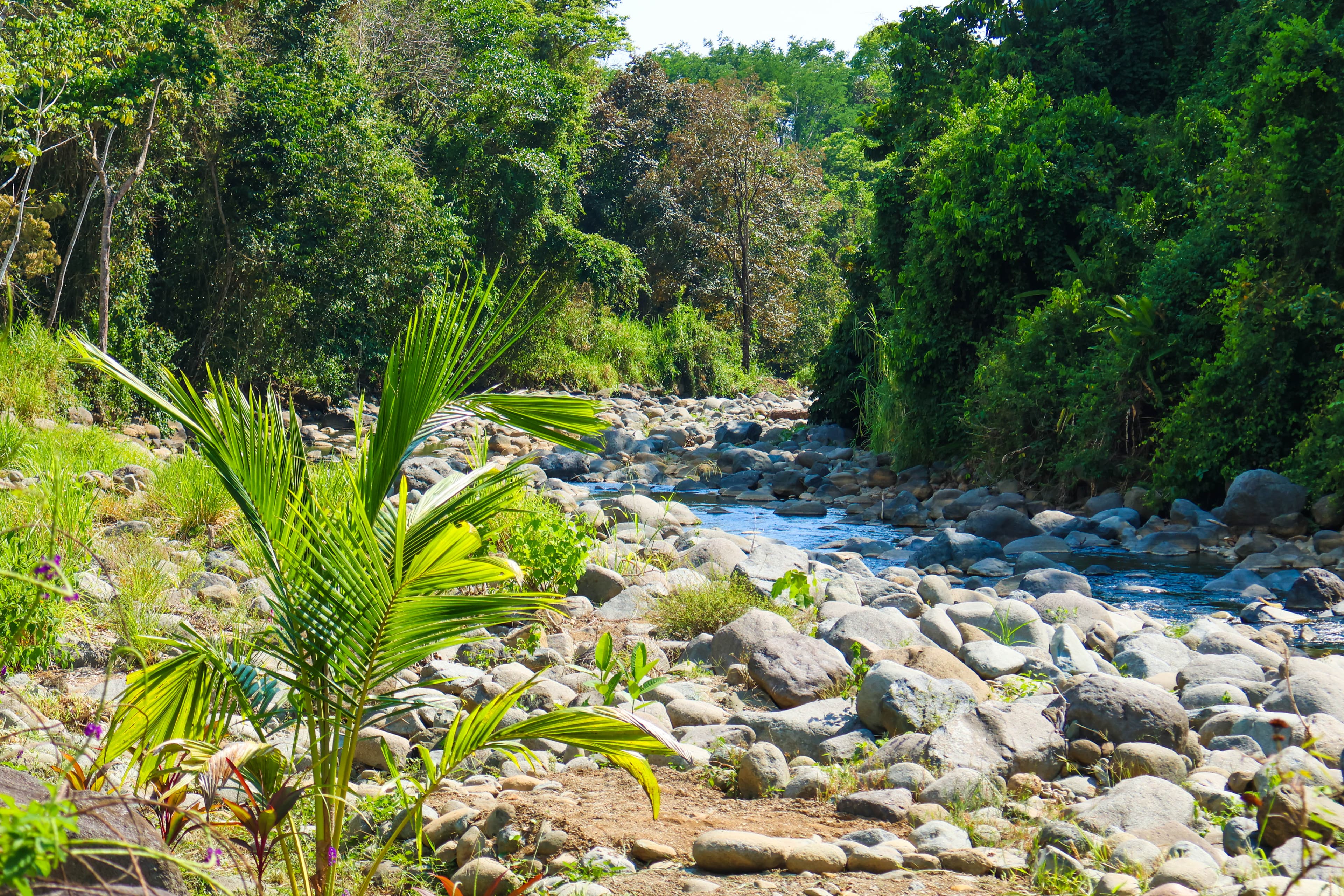 River is safe to get into and is magical!