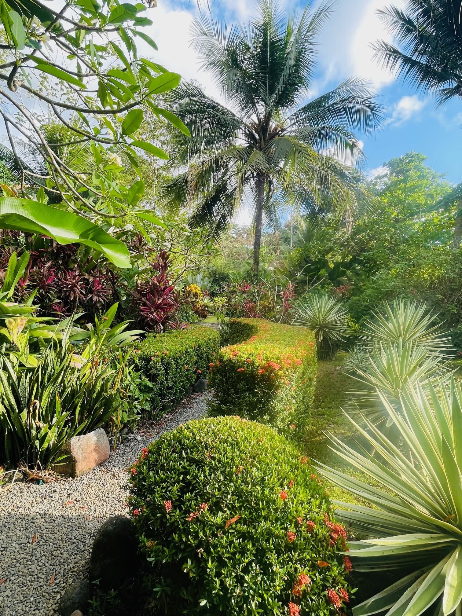 Amazing Casitas Del Rio Riverfront Nature Lodge Gardens