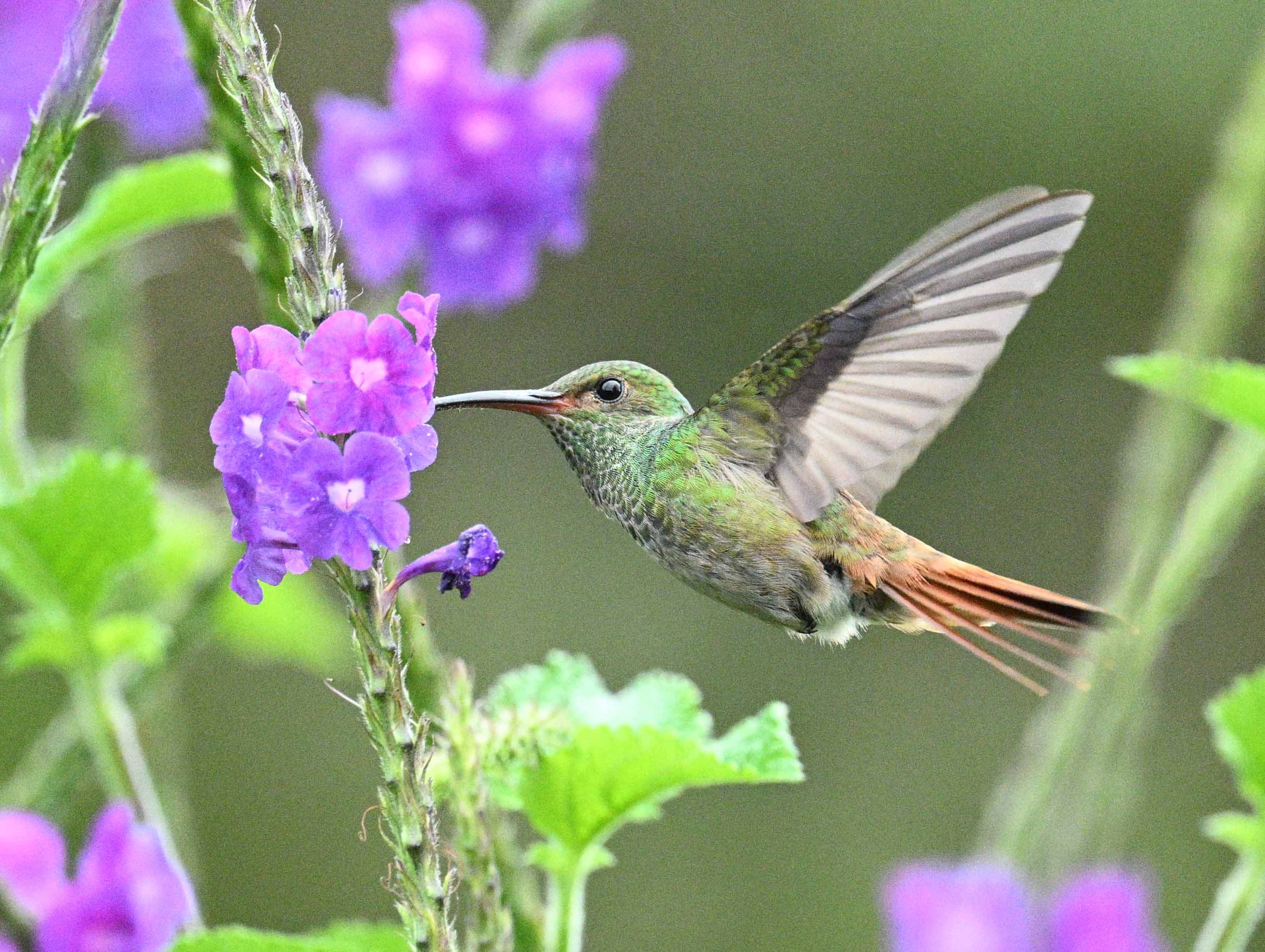 Perfect place for birdwatching