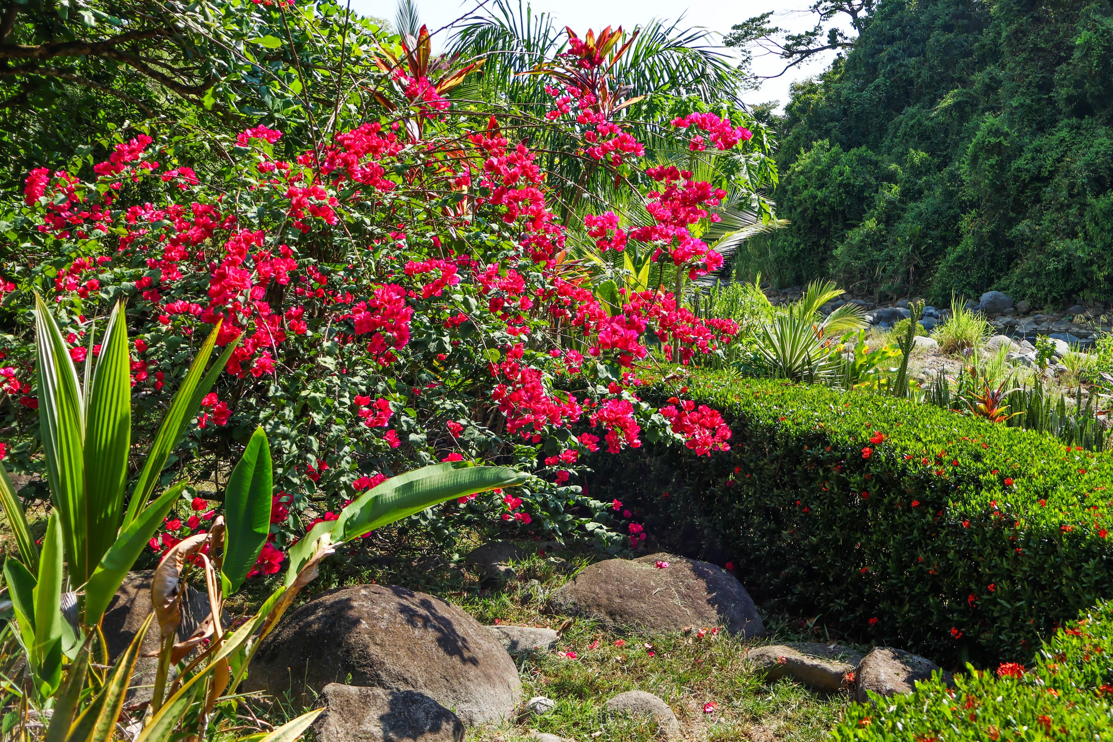 2acres of lush tropical flowers and nature trails