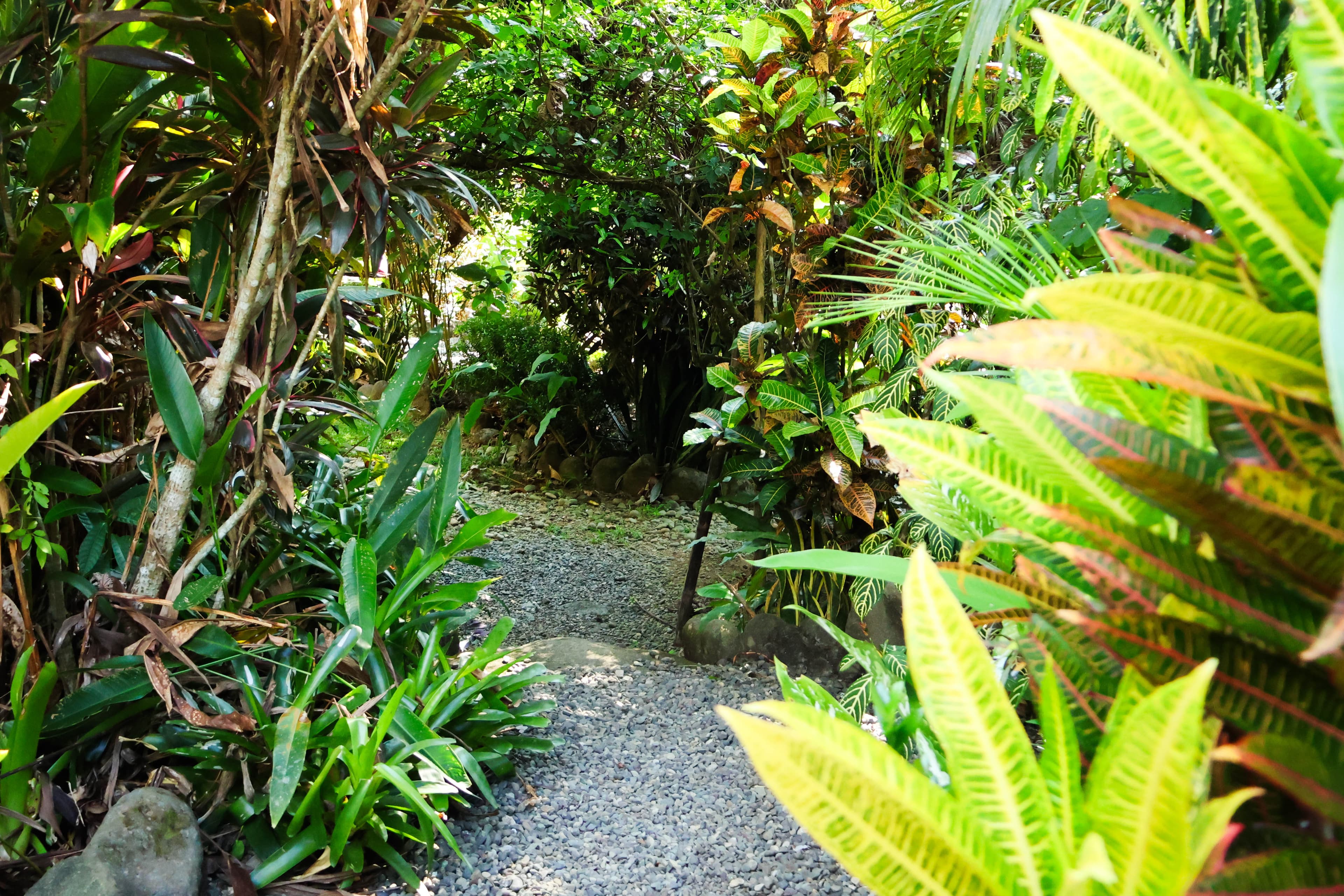Nature trails with an edible landscape to attract the exotic animals right to our vacation villas!