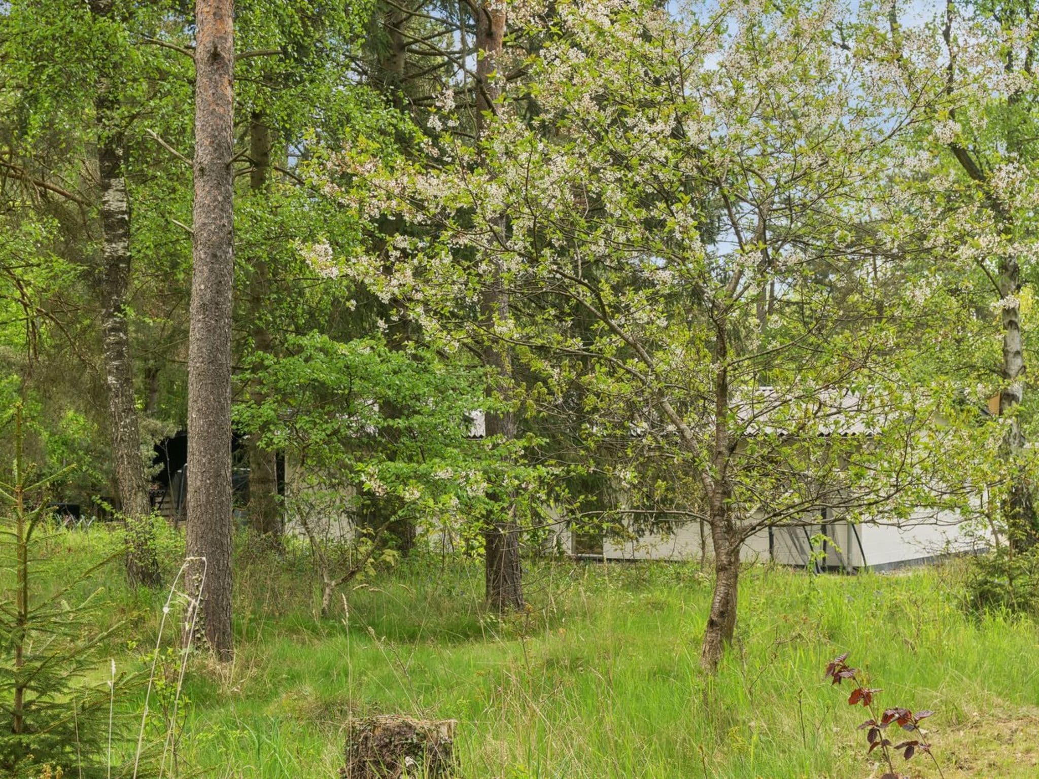 Place