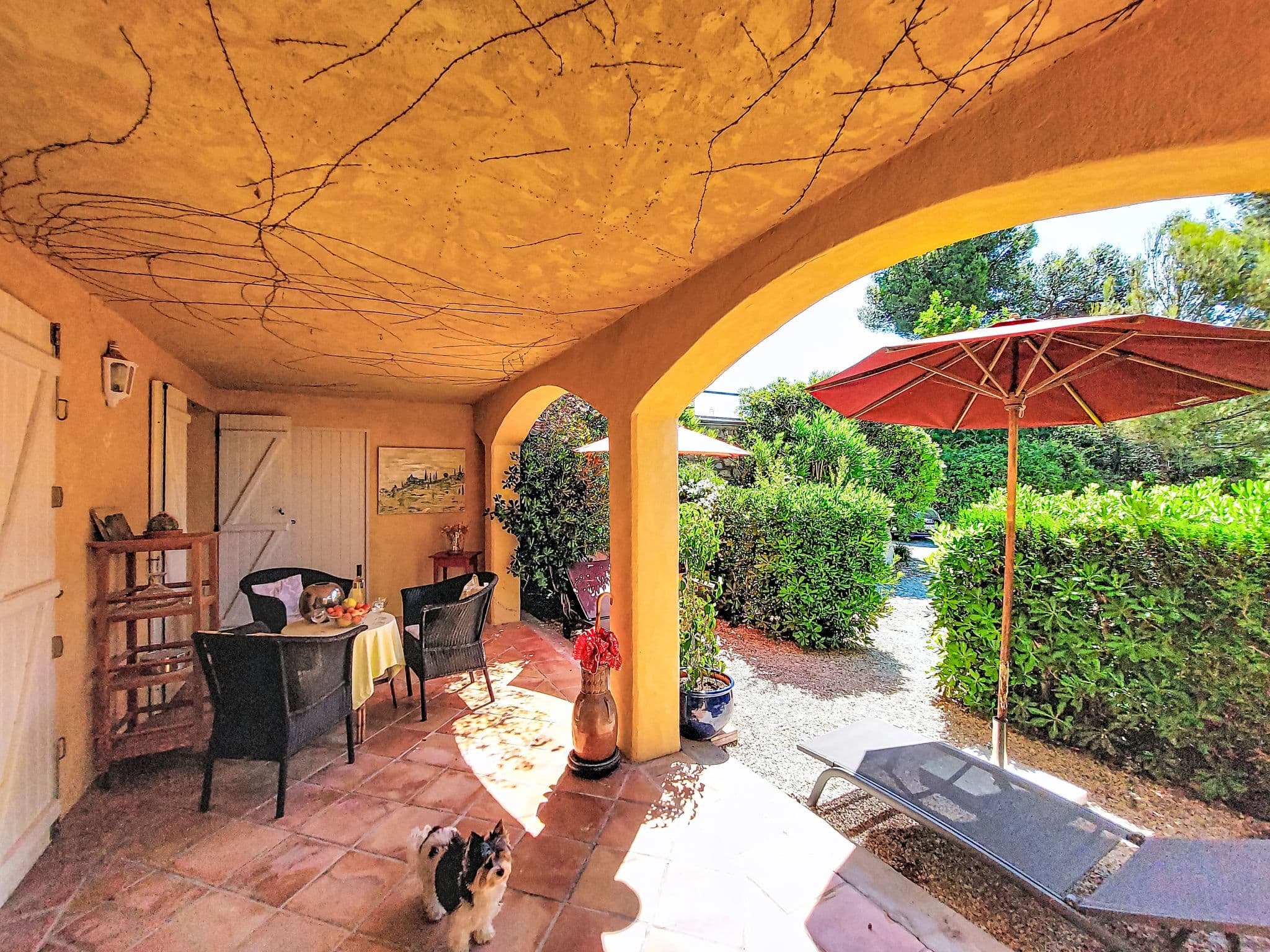 Terrace