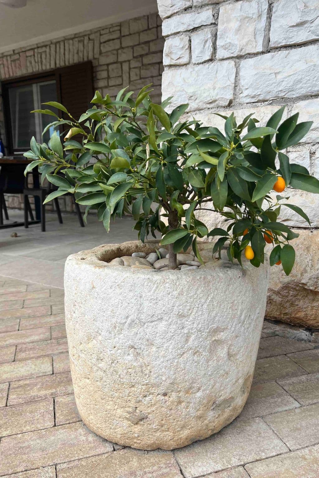 Gallery Image 13