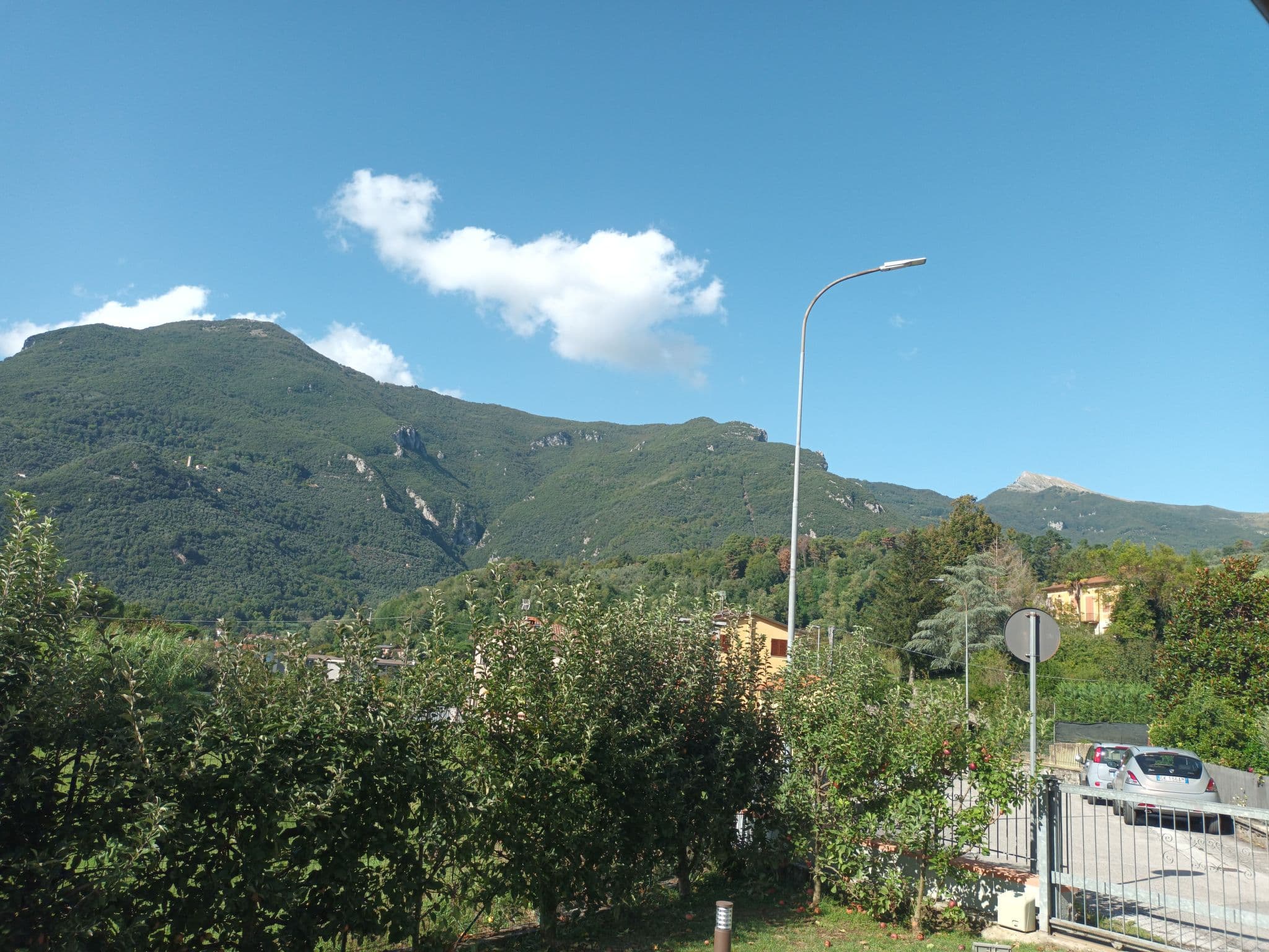 Gallery Image 21
