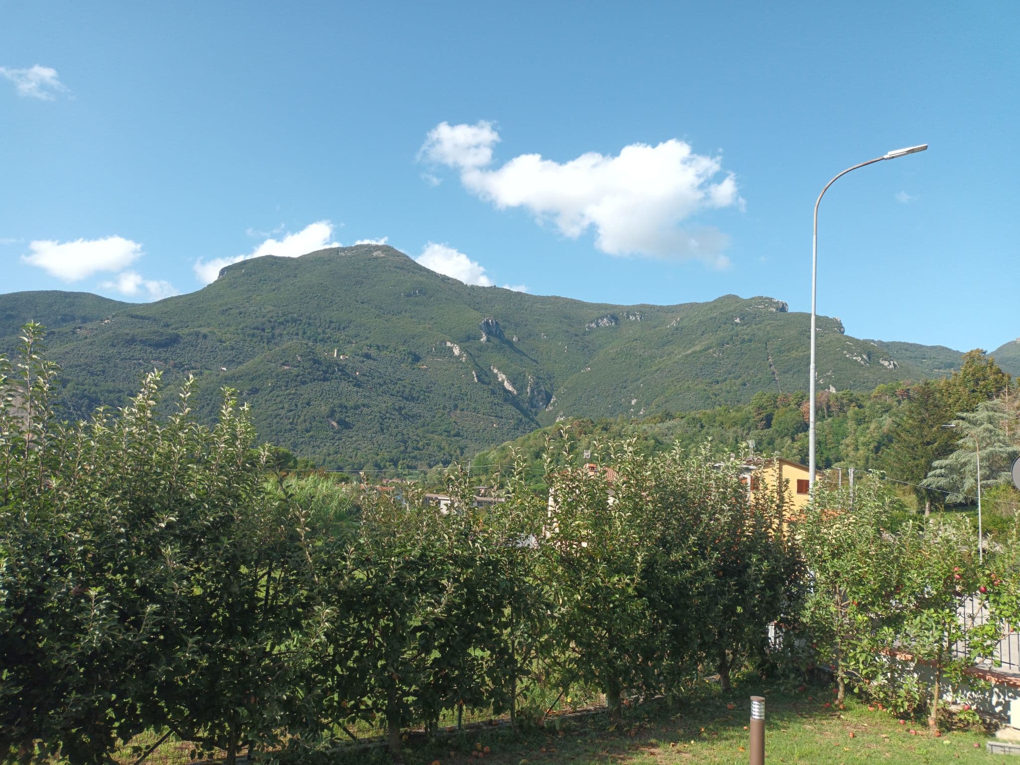 Gallery Image 22