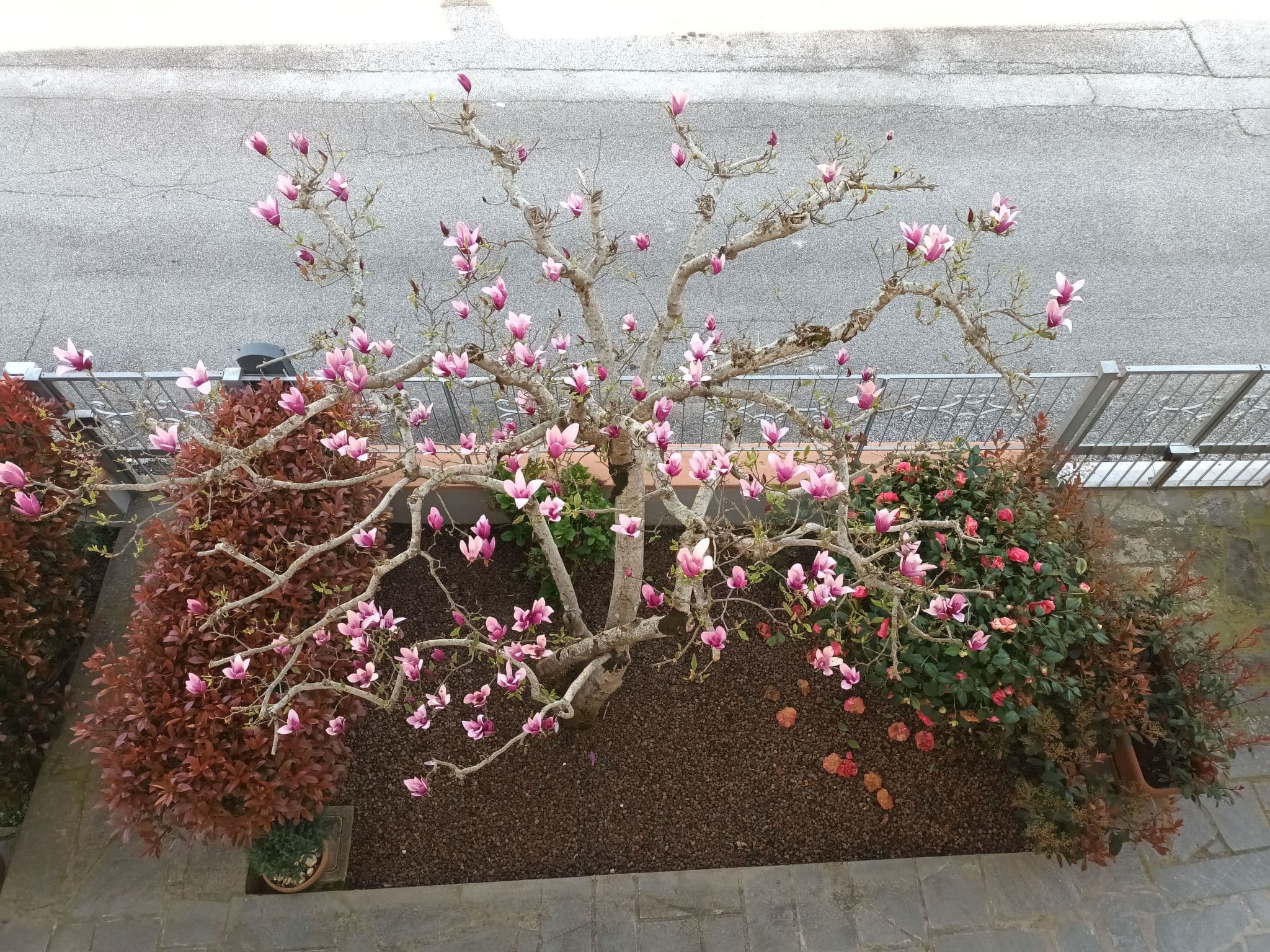 Gallery Image 26