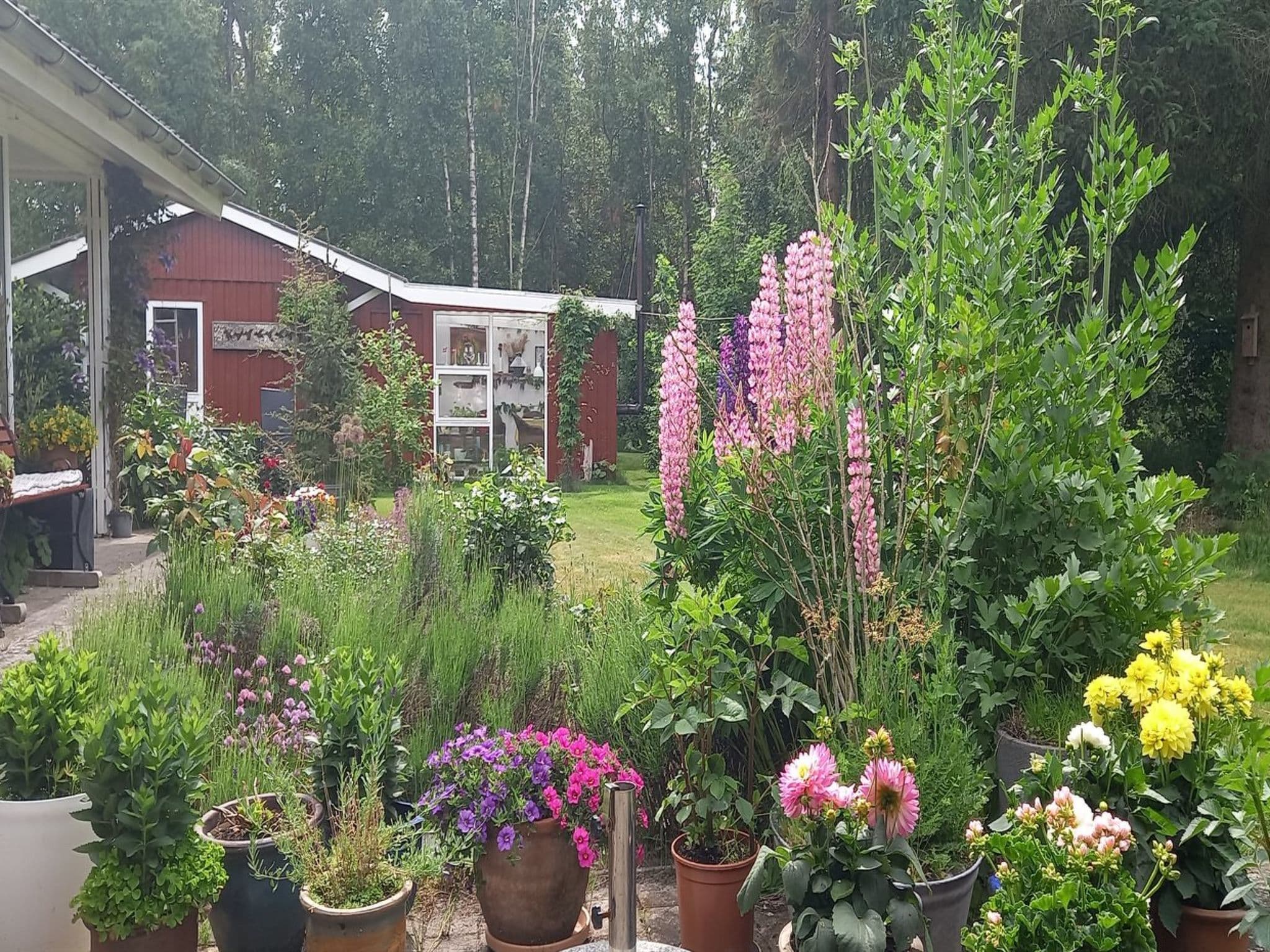Place